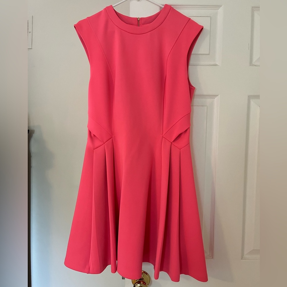 Pink! Ted Baker Dress Size 4 (fits size 10/12)
